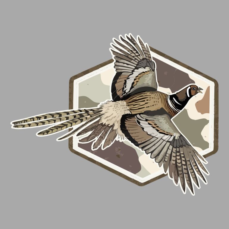 Fasan Miniaturansicht